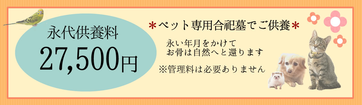 料金