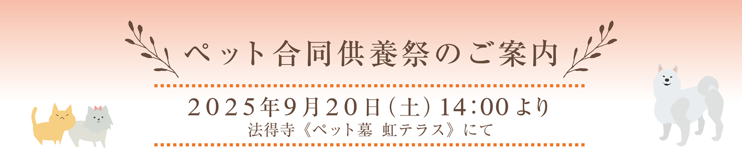 タイトル